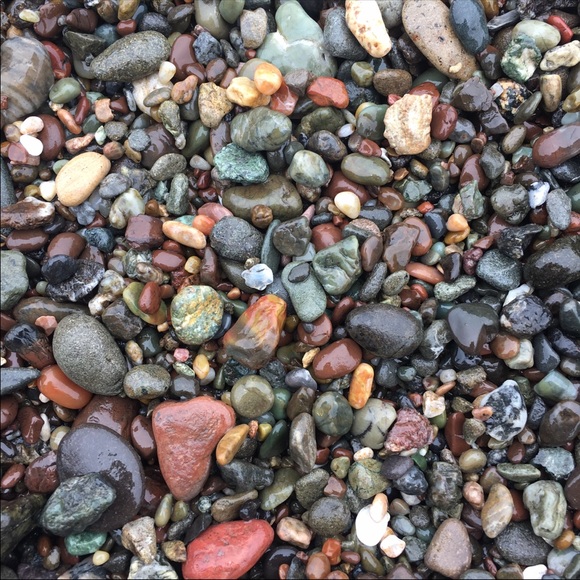 Meet the Posher! Hey! I’m Sunny Girl! - Picture 2 of 4